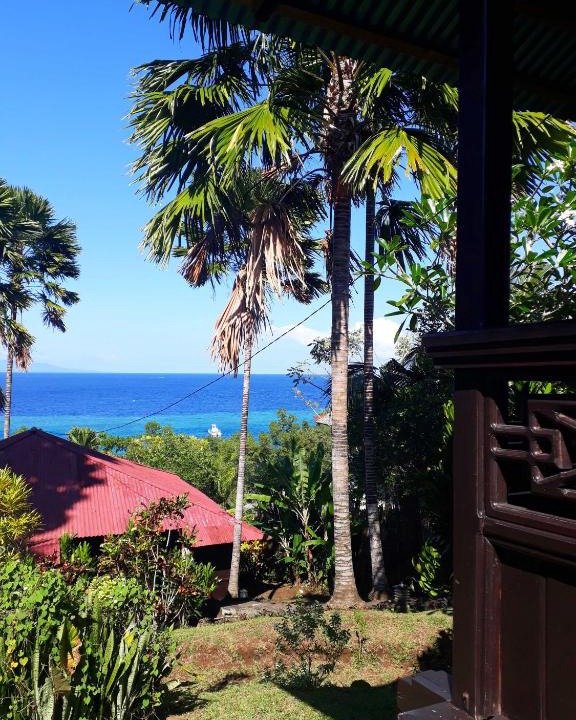 Bunaken Resort | Happy Gecko Dive Resort
