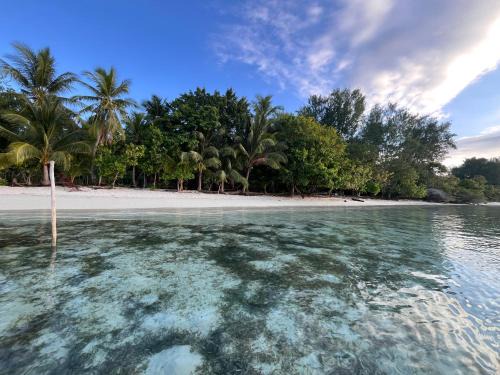 Raja Ampat House | Kemmi Homestay Raja Ampat