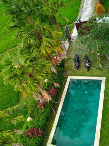 Babakan House | PopKorn Villa Guesthouse