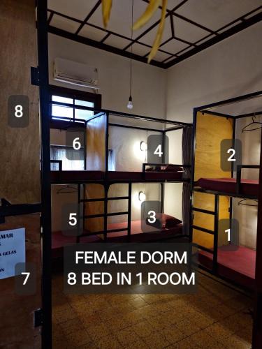 Klojen Hostel | SEMERU HOSTEL MALANG
