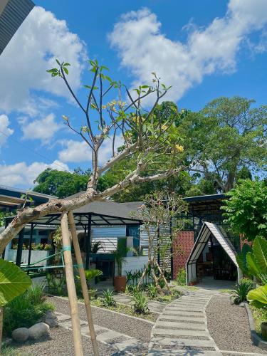 Pererenan Hostel | The Jungle Hostel Canggu