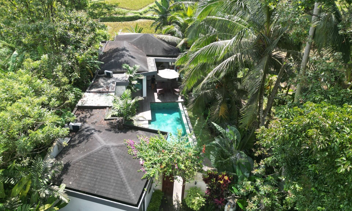 Melayang Villa | Villa 2ch-Ubud-piscine-Jungle rivière & rizière