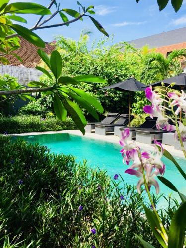 Drupadi Villa | Villa Bloom 1 - 4 bedrooms, 4 bathrooms, private pool close to the beach