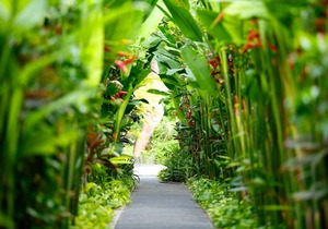 3 BR Private Pool Villa, 5 mnts walking to the beach and Seminyak shopping area