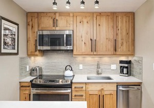 Fasching Haus Unit 12, Lower Level Deluxe Condo w/Open Living Area & Gas Fireplace in Aspen