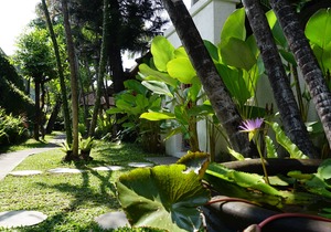 Sanur House