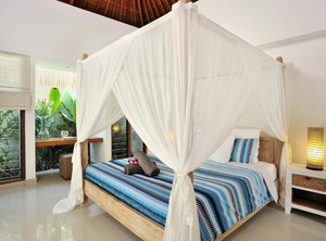 Villa Flores | Drupadi