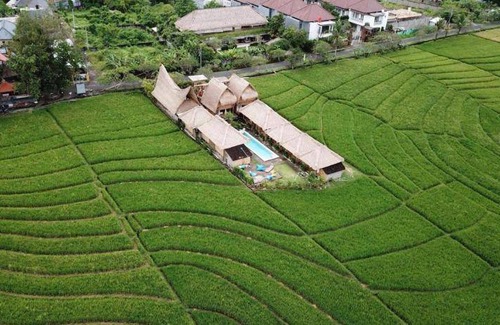 Babakan Apartment | 30 m² Serviced apartment ∙ 127 guests