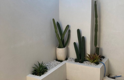 Cemagi Villa | Cactus Villa @ Seseh Beach