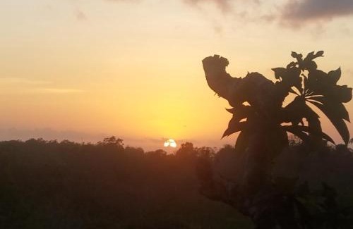 Uluwatu House | Cantika Guest House