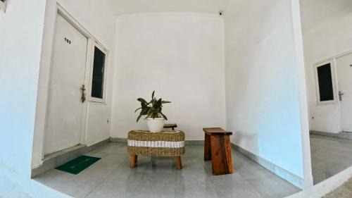 Pererenan Hostel | My Capsule Canggu