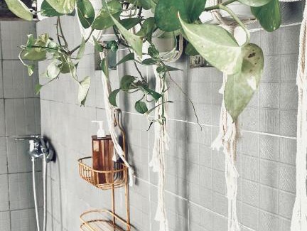 Kerobokan House | Pumba Homestay
