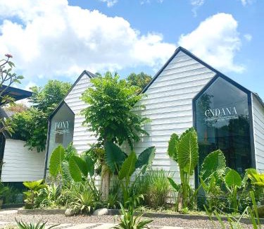 Pererenan Hostel | The Jungle Hostel Canggu