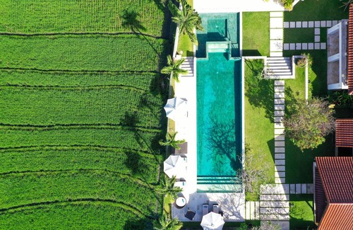 Pererenan Villa | Villa Manis Canggu