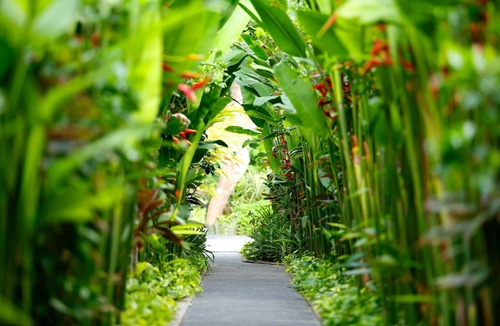 Nakula Villa | 1 BR Villa in Seminyak with 36 sqm Private Pool, 5 mnts walk to the beach