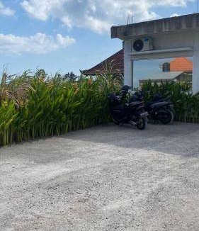 Munggu Villa | 120 m² Villa ∙ 2 bedrooms ∙ 4 guests