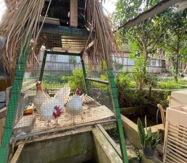 Bandung House | 2 Floor Village House with natural environment