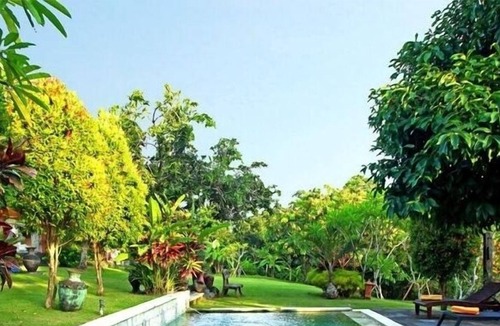 Dalung House | 4 Bedroom Joglo Historical Wood House, Private Swimming Pool set on 2500 sqm.