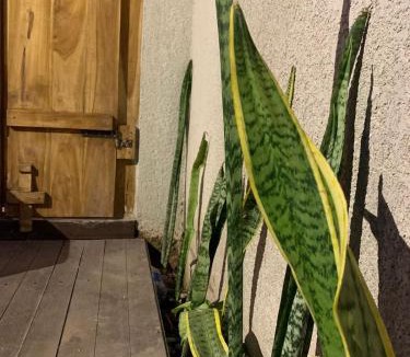 Penida Island Apartment | Angel Villa Praivate and tour