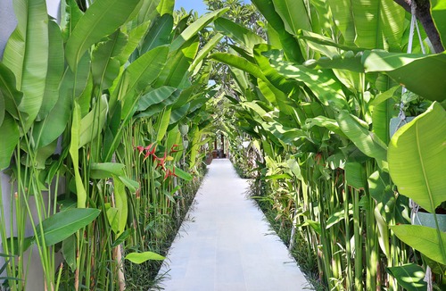 Nakula Hotel | Astera Villa Seminyak