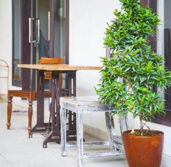 Batu Bolong House | Ava Guesthouse #2 - Cozy Room with Desk&Kitchenette