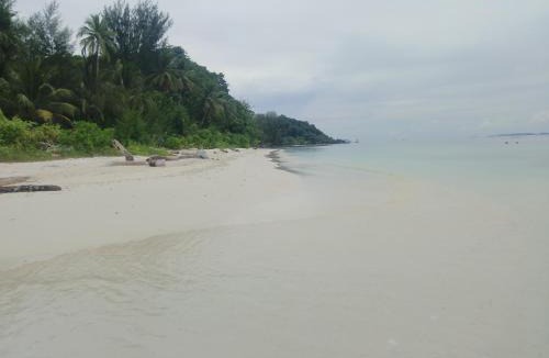 Raja Ampat House | Balal Homestay