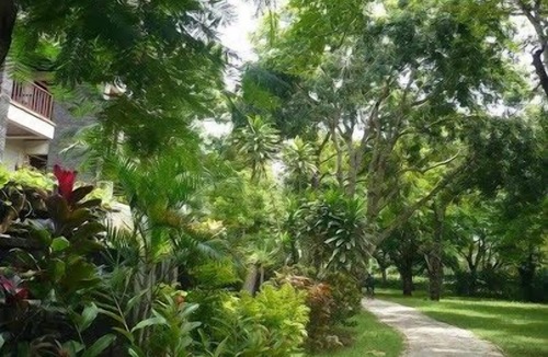 BTDC Apartment | Bali Nusa Dua 2 BR Apt+PrivGarden & Dip Pool