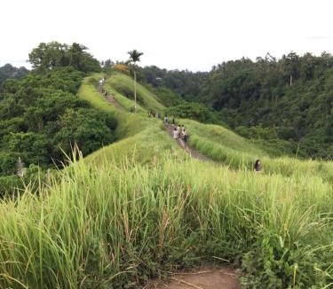 Ubud City-Centre Ski Chalet | BATI Private Living