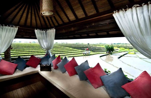 Batu Bolong Villa | Canggu Pool Villa 375, 5 bedrooms