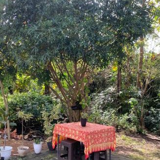 Kampial House | D' Jati Homestay