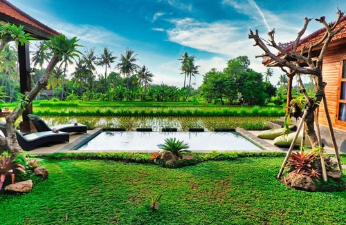 Buleleng Cabin | Dapha Eco Lodge Lovina