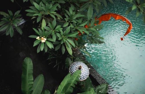 Kuta Hotel | Fourteen Roses Boutique Hotel, Kuta