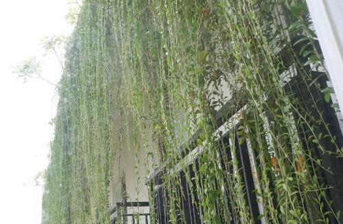 Bukit Hotel | G7 RESIDENCE