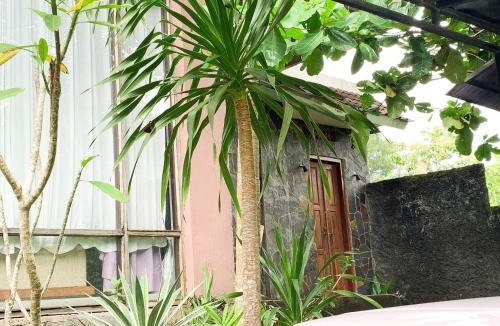 Ungasan House | Gwen Cozy Homestay