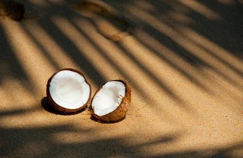 Seseh Hotel | Kavo Maison Surf & Yoga Camp