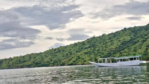 Komodo House | LA Komodo Homestay
