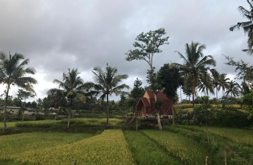 Kecamatan Montong Gading Bed & Breakfast | Lombok Ethnic Bungalows