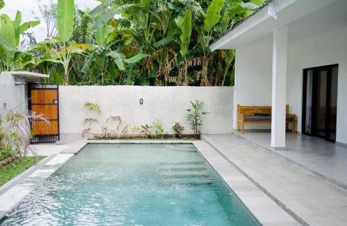 Purwakerti Villa | Lush Tropical Villa Central Amed