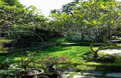 Denpasar Timur Villa | NICE ONE BEDROOM VILLA IN SANUR AREA