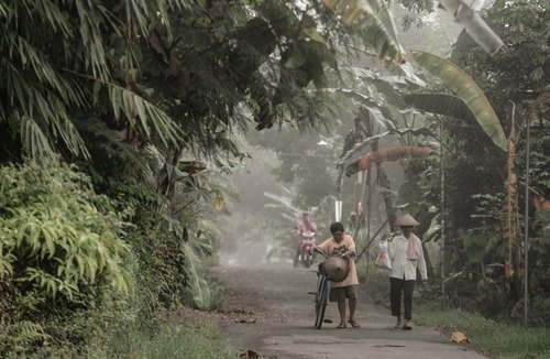 Balangan House | Omah minggir