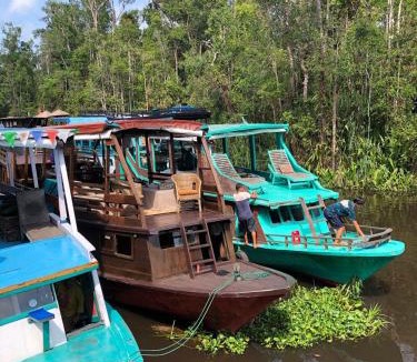 Kumai Boat Rental | Orangutan Houseboat Park Tanjung Puting