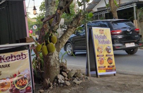 Selong Belanak House | Pesisircottage