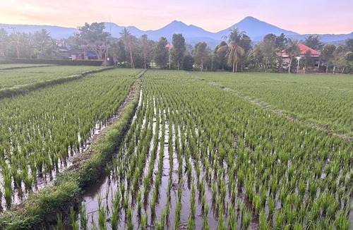Banjartegehe House | Pondok Nisya