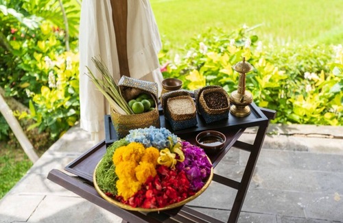 Kenderan House | Private pool with tropical garden, overlooking the stunning rice paddies
