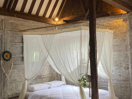 Kerobokan House | Pumba Homestay