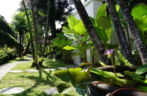 Sanur Hotel | Sanur House