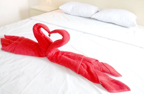 Padonan Bed & Breakfast | Simona Hotel Canggu Double Bed Room for 2 persons
