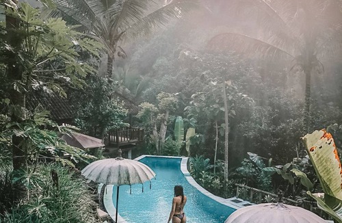 Payangan Bed & Breakfast | Song Broek Jungle Resort