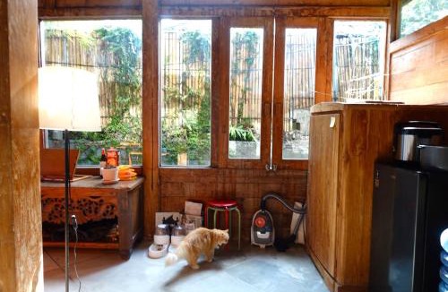 Umalas House | Spacious Family Home & Office Canggu, stay with cats