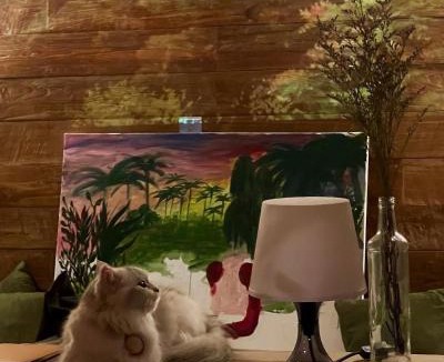 Umalas House | Spacious Family Home & Office Canggu, stay with cats